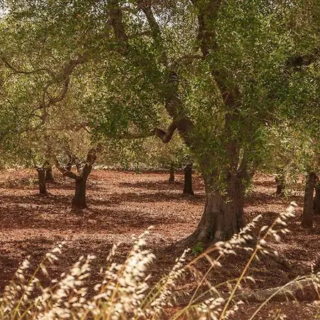 Apartman Trullo Grullo Ostuni